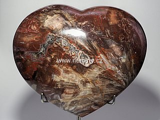 zkamenl devo + srdce